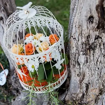 בית חווה Agriturismo Santu Marcialis Dolianova