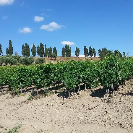 Agriturismo Santu Marcialis בית חווה Dolianova