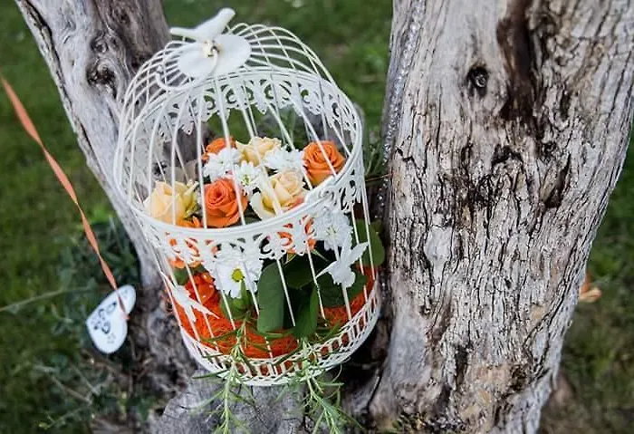 Farm stay Agriturismo Santu Marcialis Dolianova