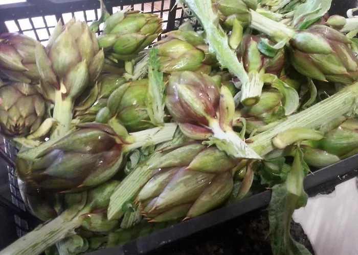 Agriturismo Santu Marcialis Farm stay *