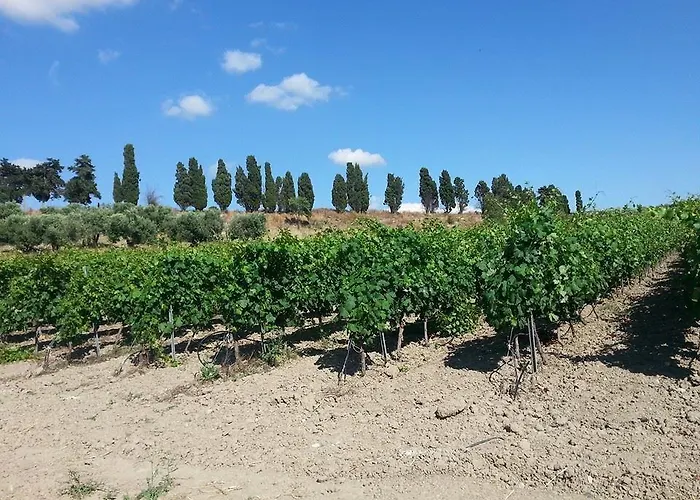 Agriturismo Santu Marcialis Farmház Dolianova